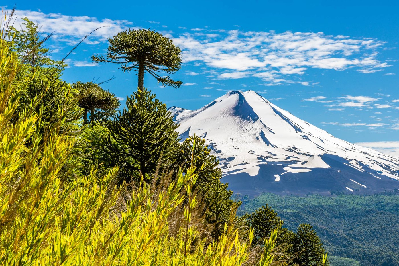 5 Parques Nacionales Imperdibles De Chile Turismocity